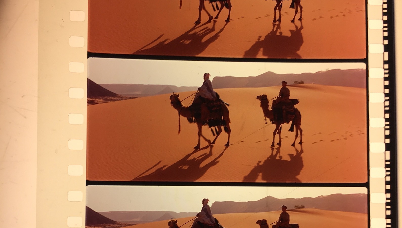 70mm Strip Lawrence_LG A close-up of a 70mm film strip, showing camels silhouetted against a desert from Lawrence of Arabia