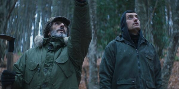 Two men in a forest look up at the trees , one pointing with his arm.