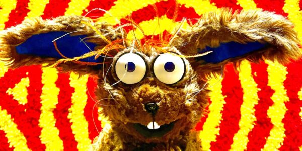 A brown rabbit puppet with blue ears smiles at camera