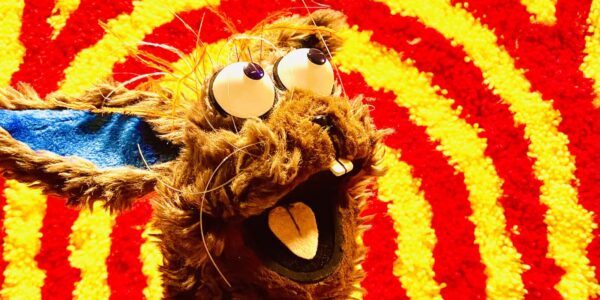 A brown rabbit puppet with blue ears smiles and looks to the right