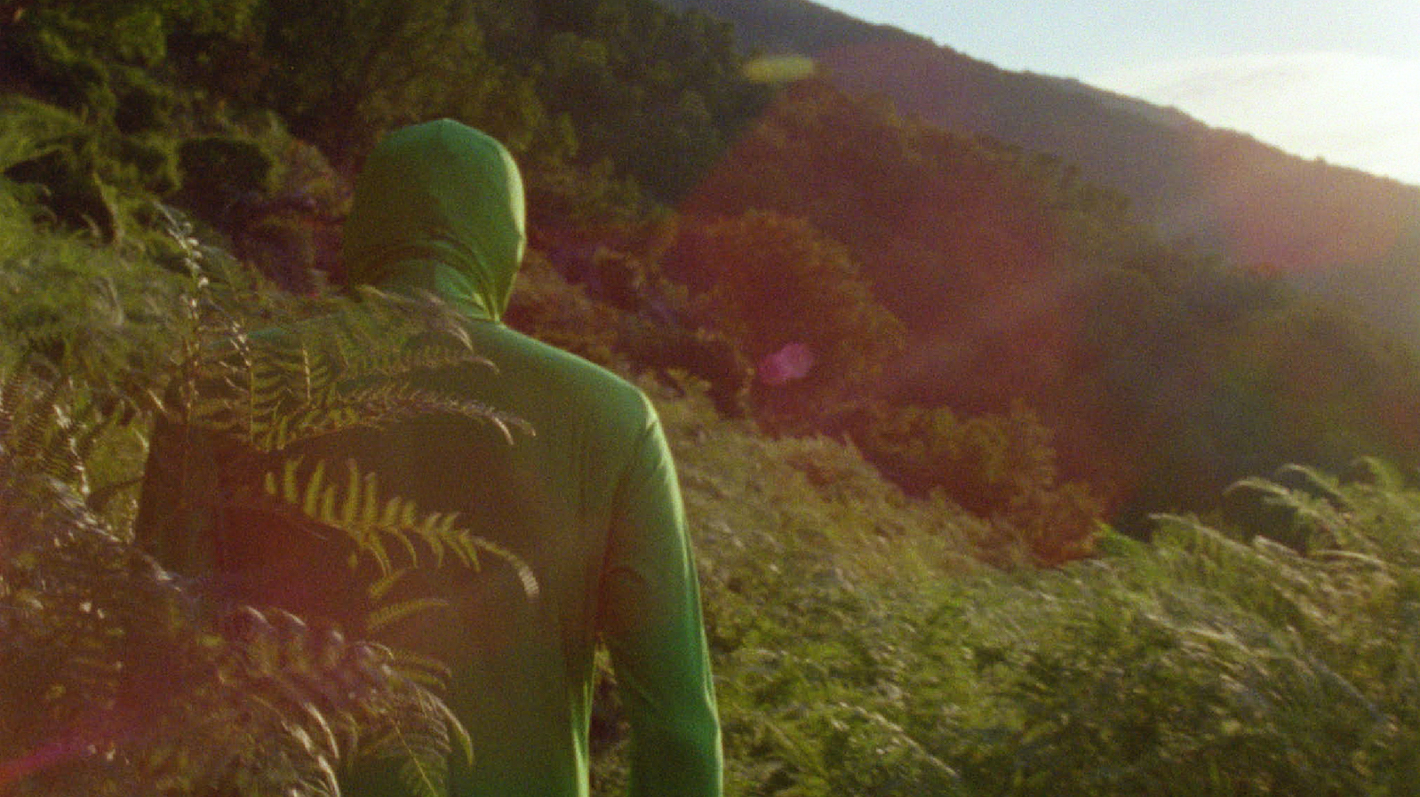 A man dressed entirely in green including over his head is seen from behind looking at a mountainscape