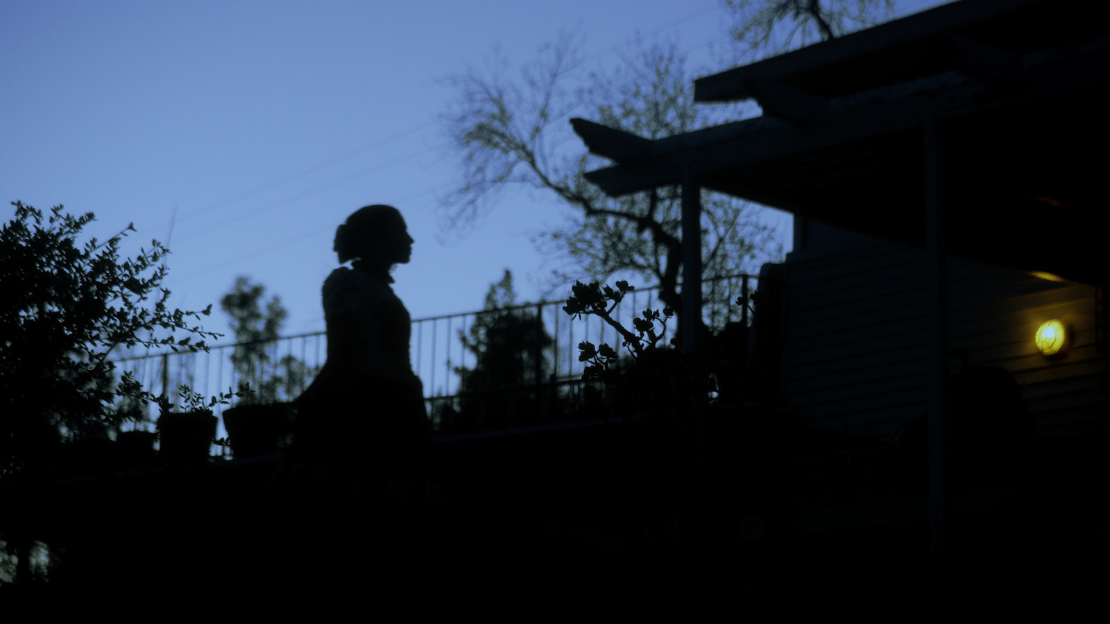 A figure walks outside silhouetted against a blue evening sky surrounded by trees