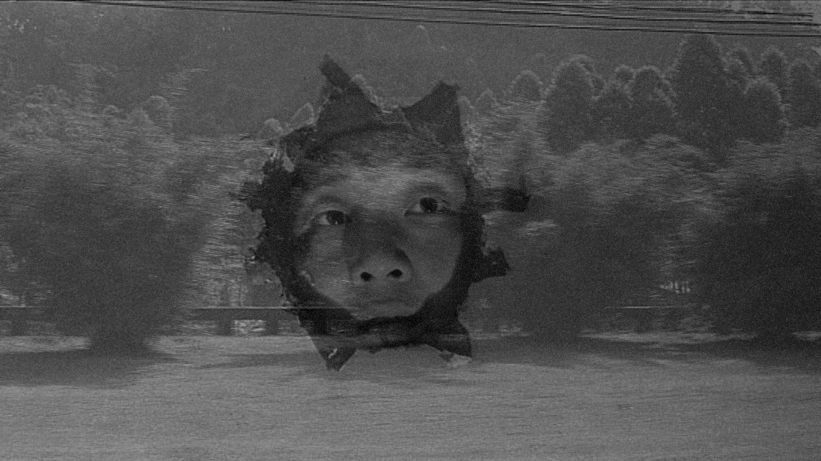 A face surrounded by sunlike rays pokes through a black-and-white image of a landscape