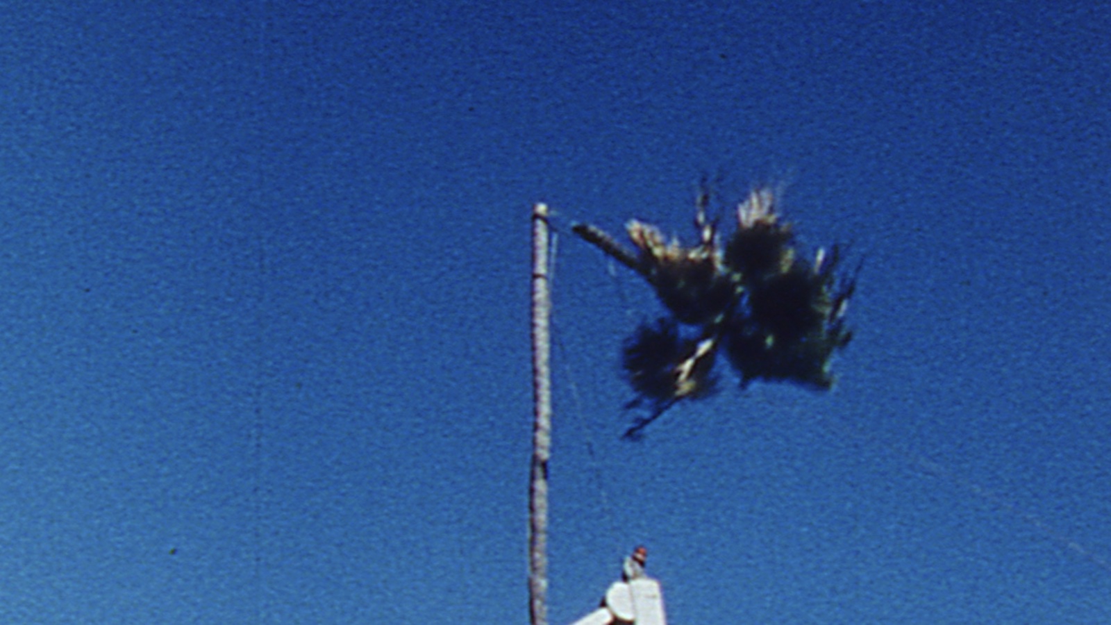 the top of a palm tree broken over a blue sky