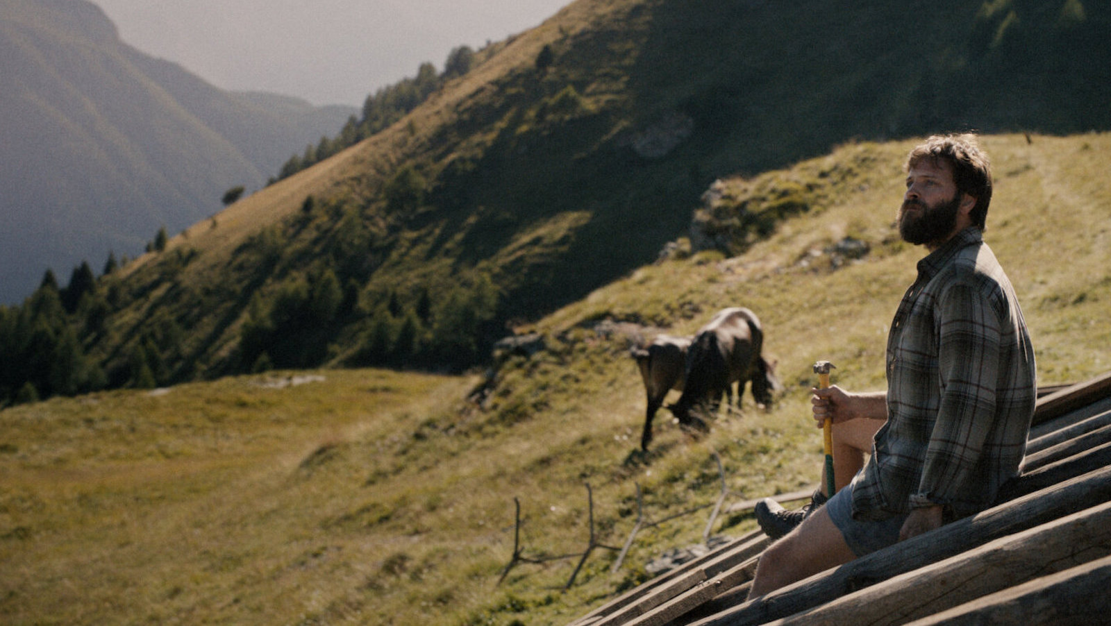 A man sits on a rooftop and looks out at a mountainous landscape, with horses grazing behind him