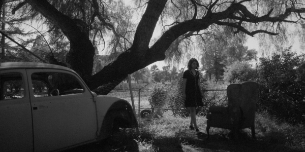 A black and white shot of a woman standing under a tree outdoors and facing a chair
