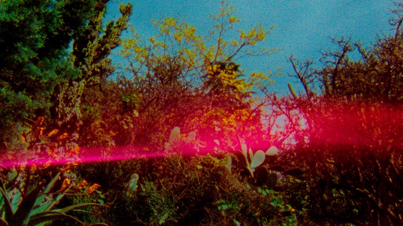 A red light flare streaks across a green woods against a blue sky
