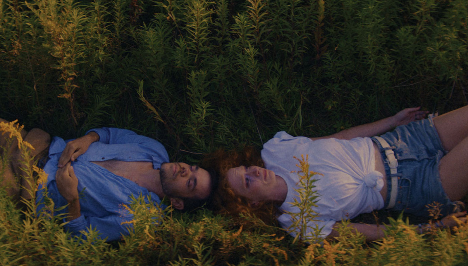 Two people lie a field with their heads touching but lying in opposite directions looking up