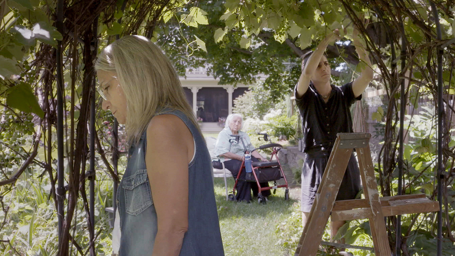In a green backyard, three generations of women, one in the foreground standing to the side, one in the middle picking fruit from a tree on a ladder, and another sitting in the background by a walker