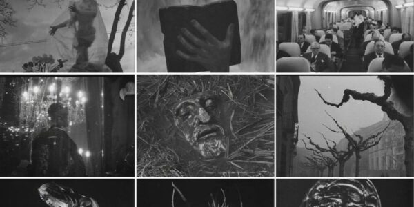 A series of small rectangular images in black and white, of bare gnarled trees and stone faces and people on a train car