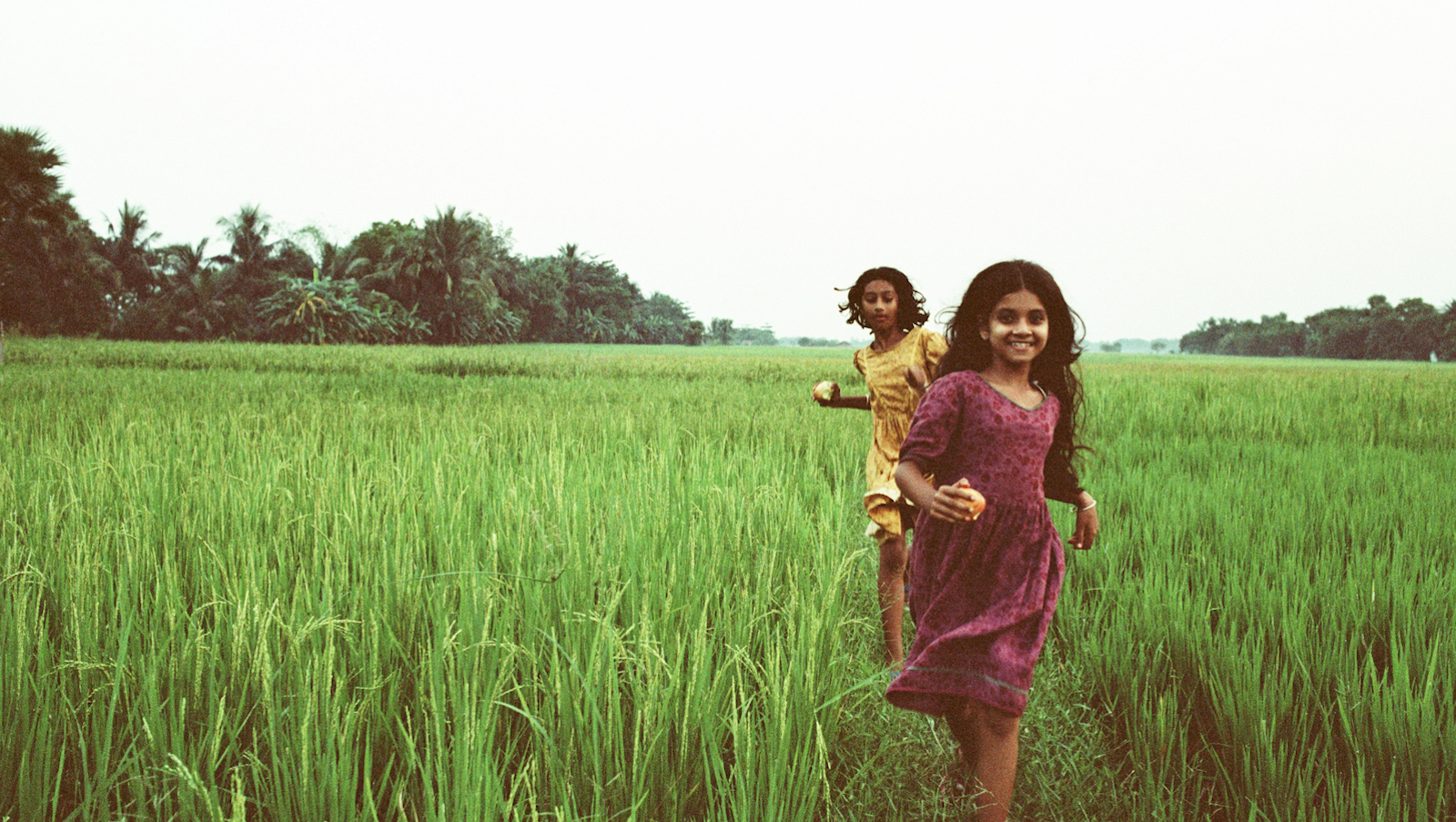 two young girls run through verdant green tall grasses towards the camera