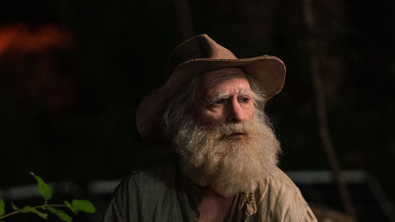 An elderly man with a long white beard and wearing a floppy hat looks off-screen