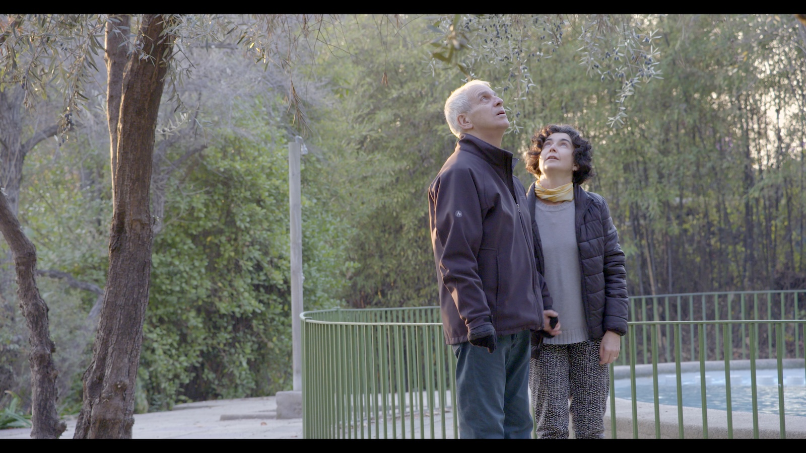 A man and woman stand outside in a park looking up at the sky, wearing coats