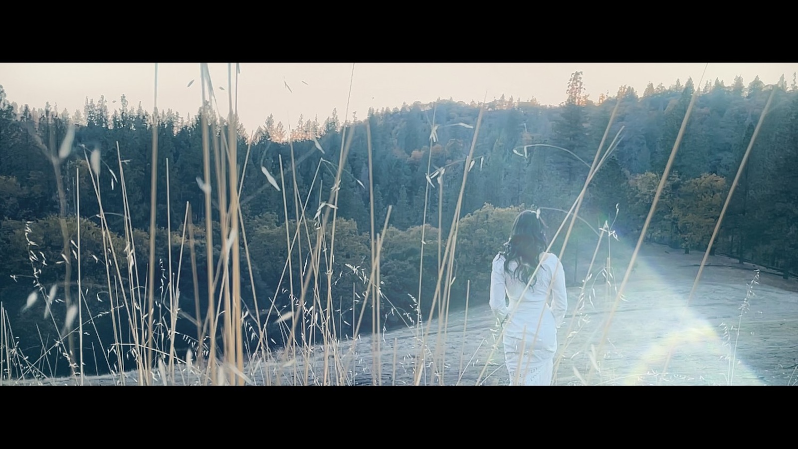 A woman in white walks through a sundappled field of wheat, seen from behind