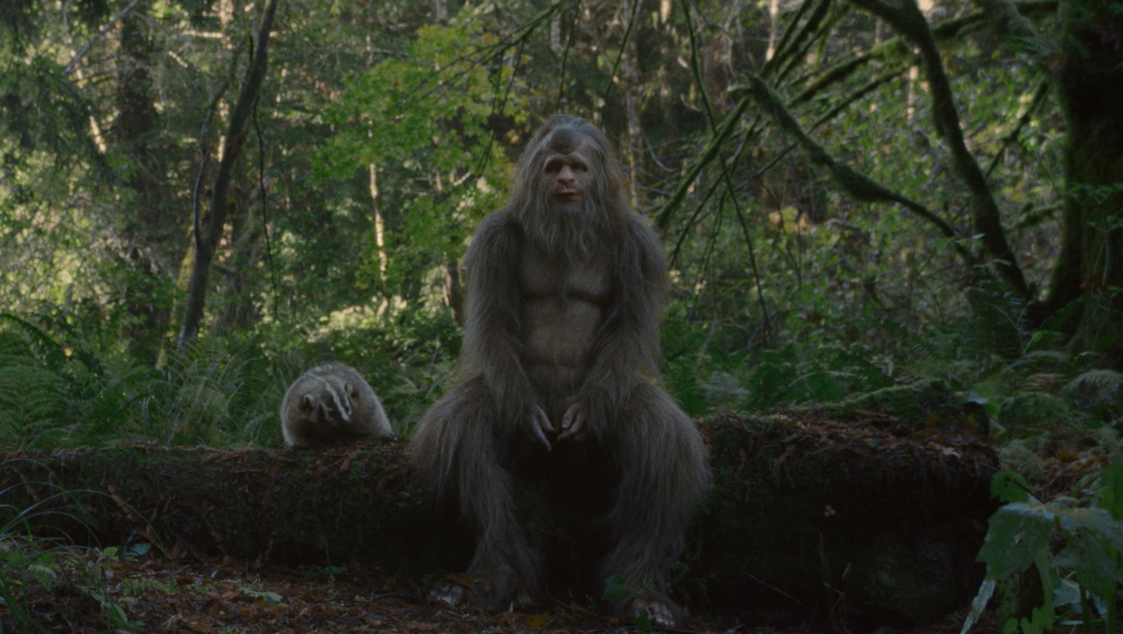 A hairy sasquatch sits on a log in a forest and stares pensively past camera as a badger perches on the log next to it.