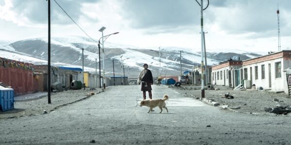 A person and a dog stand in the middle of an empty street in a mountainous town