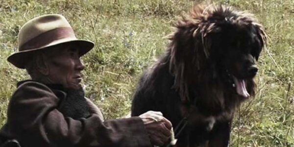 A man lies in a field next to a panting dog with black fur