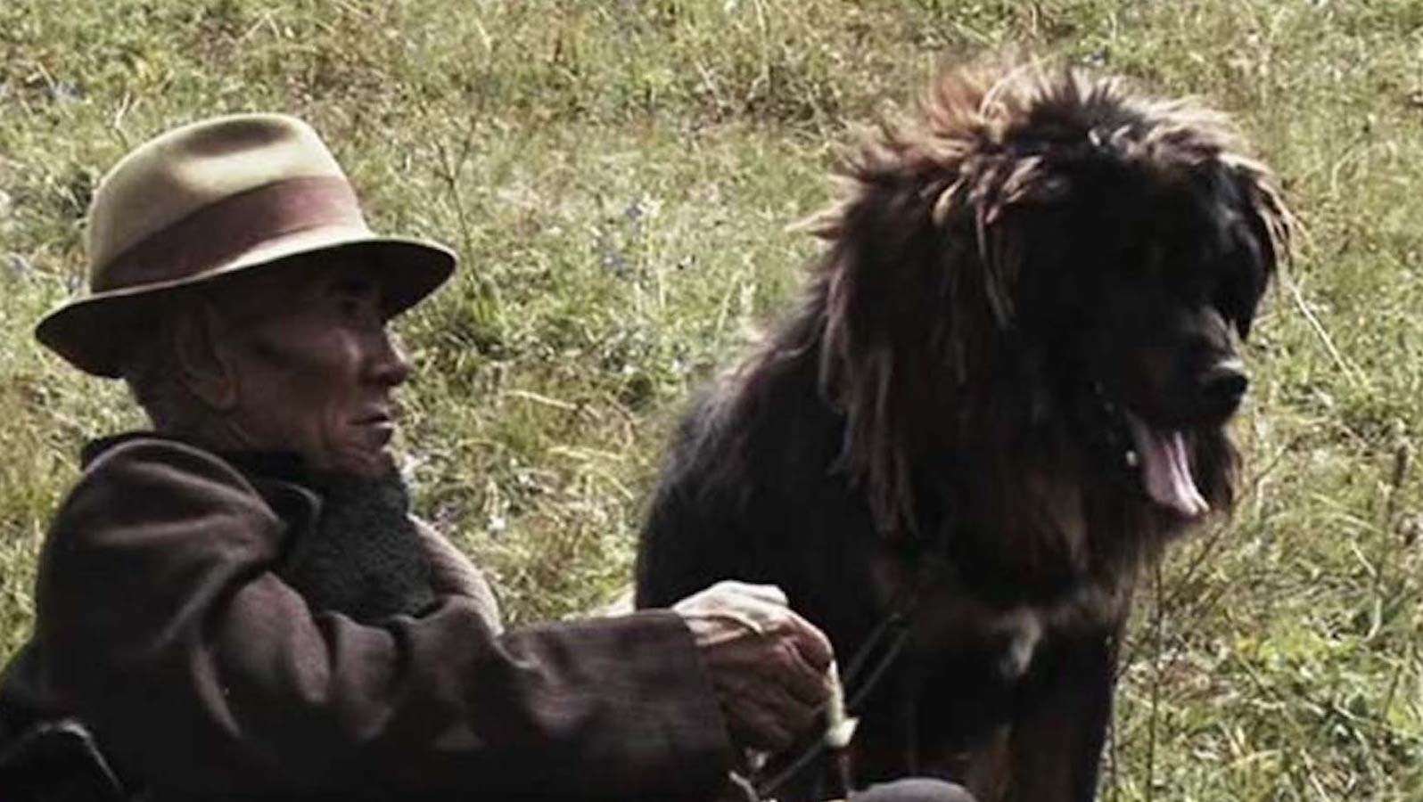 OLD DOG 003_Coutesy dGenerate Films and Icarus Films A man lies in a field next to a panting dog with black fur