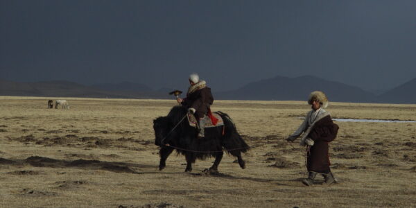 A person rides a yak across the Tibetan plains with another man near him, both wearing wool hats