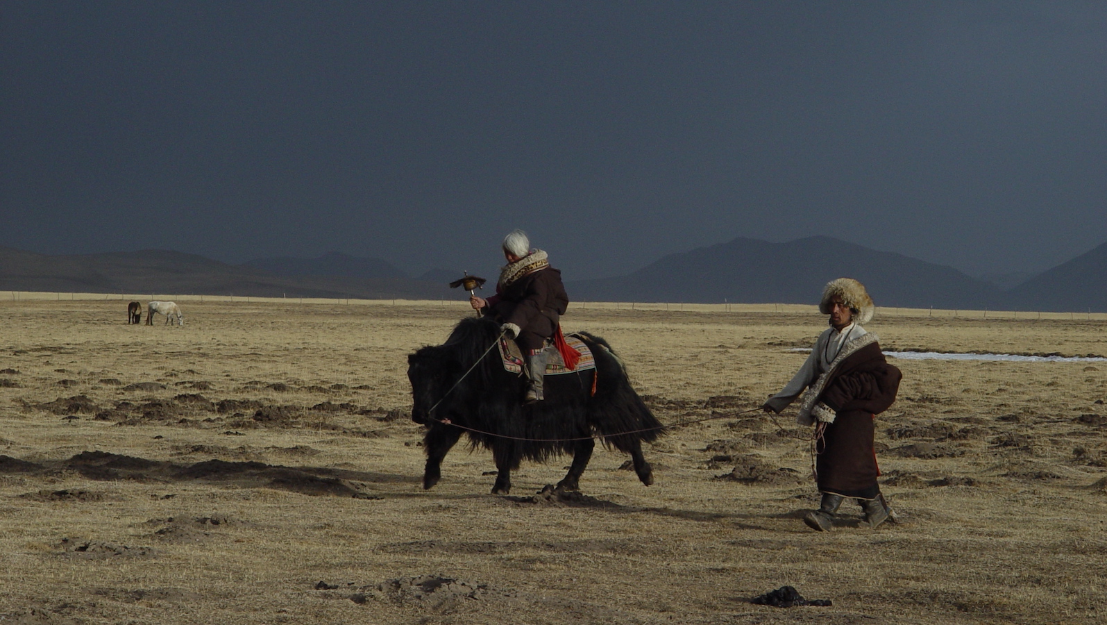 A person rides a yak across the Tibetan plains with another man near him, both wearing wool hats