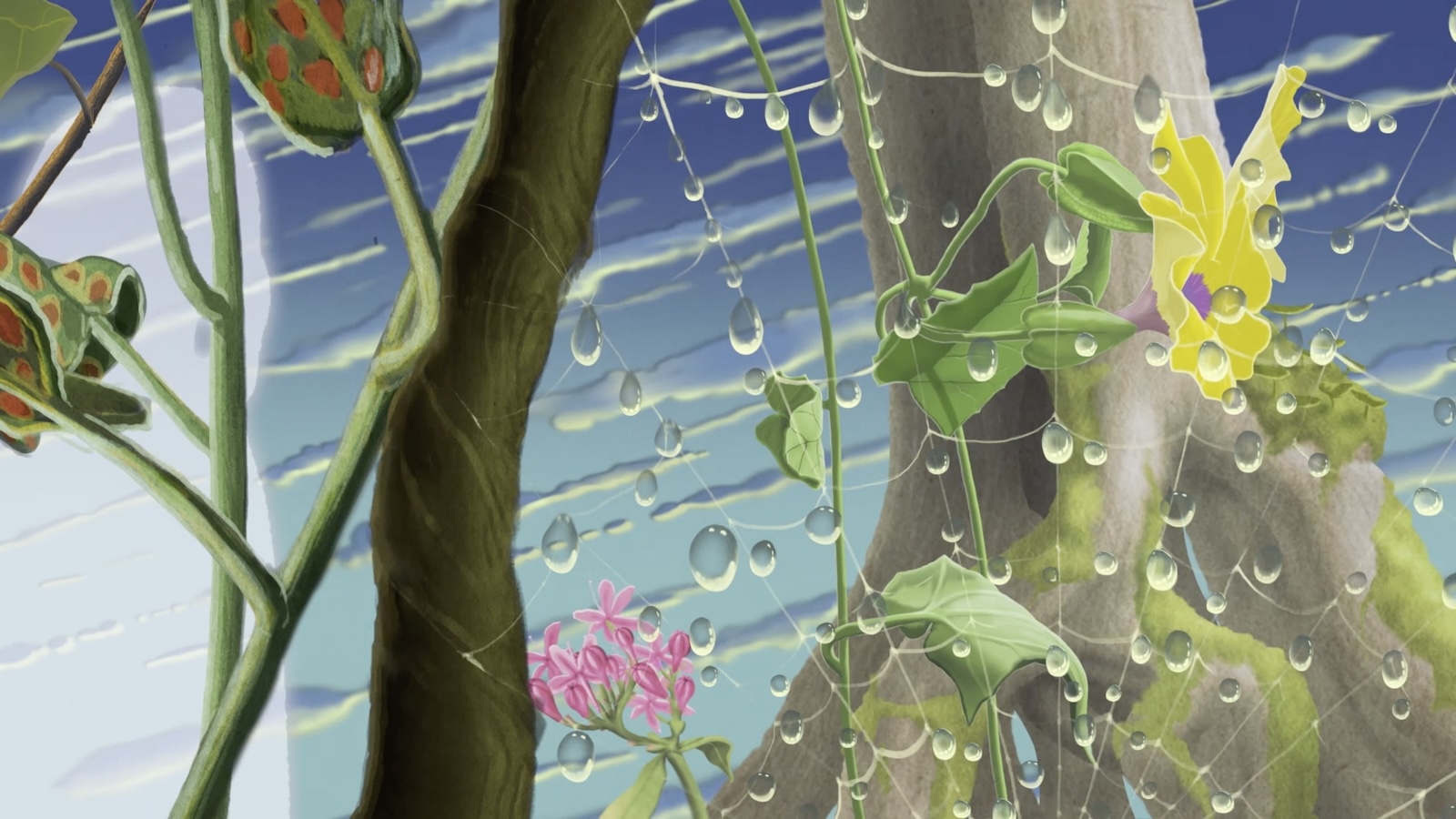 An animated image of forest leaves and spider web strands dotted with dew.