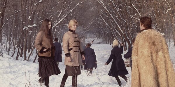 People stand in a snowy wooded landscape