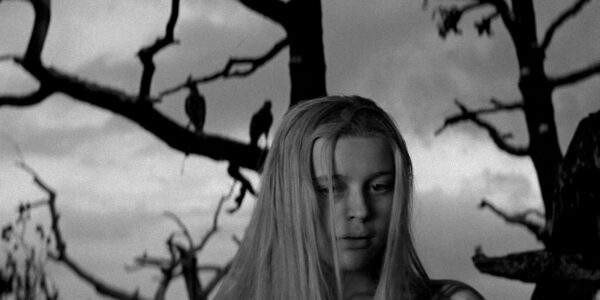 A young blonde long-haired woman stands against a tree with bare branches and birds silhouetted against a gray sky