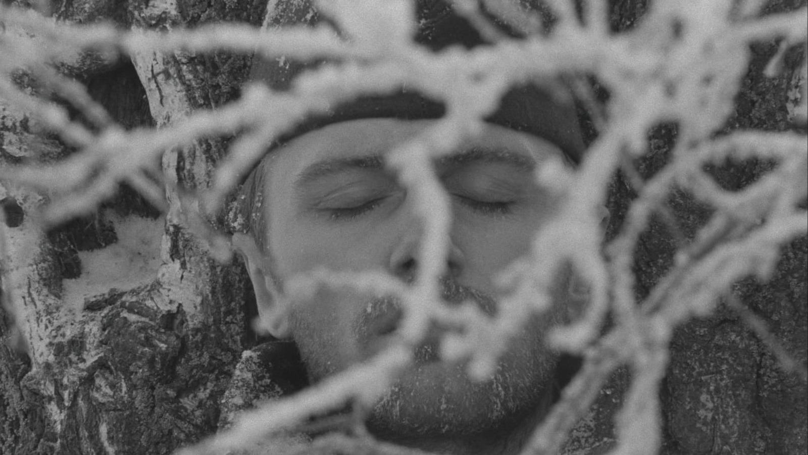 A man with a frosty beard in a frozen landscape with his eyes closed, with ice-covered tree branches criss-crossing over his face in the foreground.