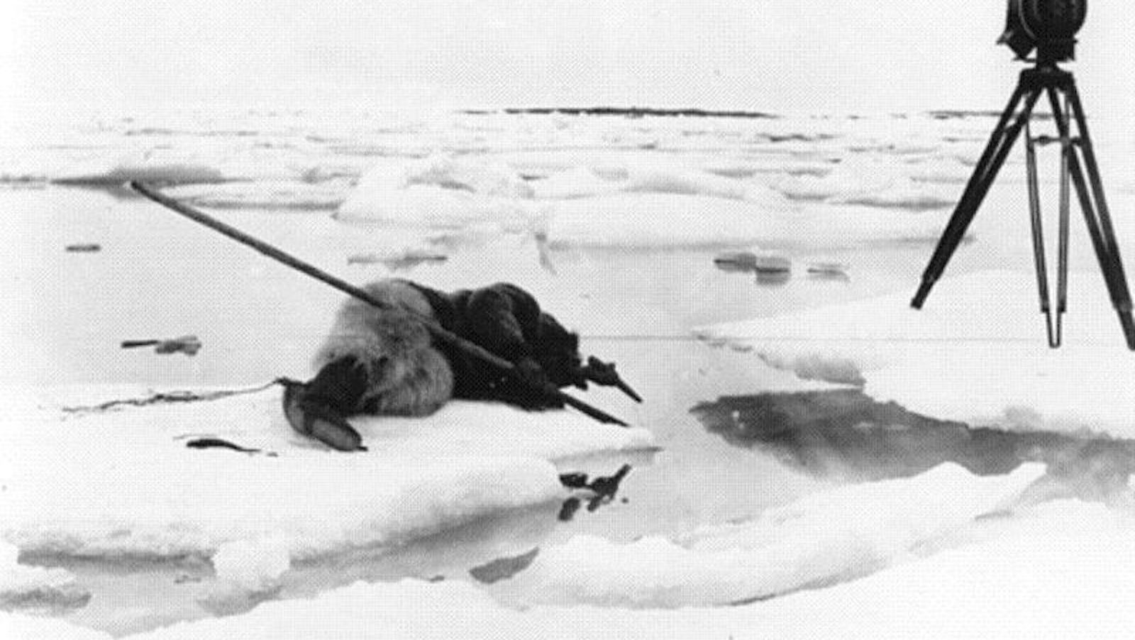 An eskimo holds a harpoon and crouches on an ice floe near the water in a partly frozen lake, a camera on a tripod next to him.