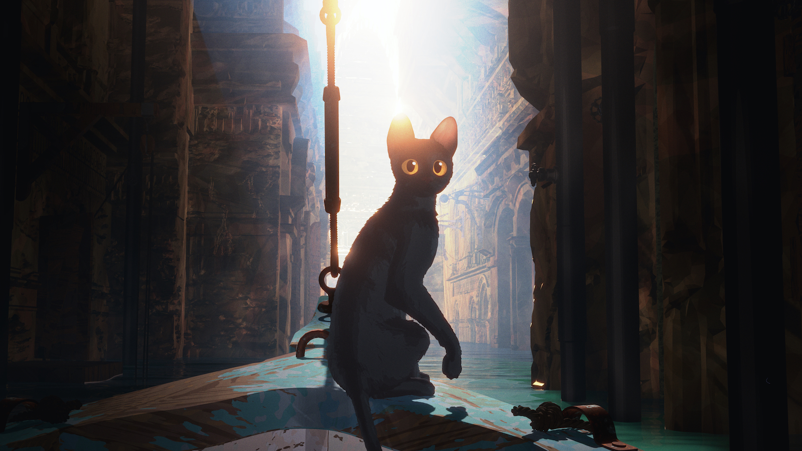 A cartoon image of a black cat with curious yellow eyes sits on the prow of a rowboat as it drifts through a flooded cityscape.