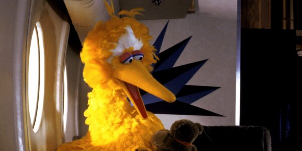 The big yellow muppet Big Bird sits on a plane next to a window holding a teddy bear. His beak is open wide and seems to be talking to it.