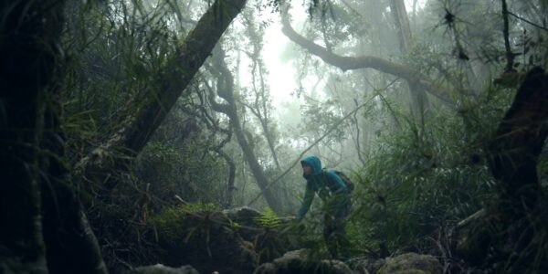 In a vast jungle, a young person in a green hooded sweater climbs across rocks.