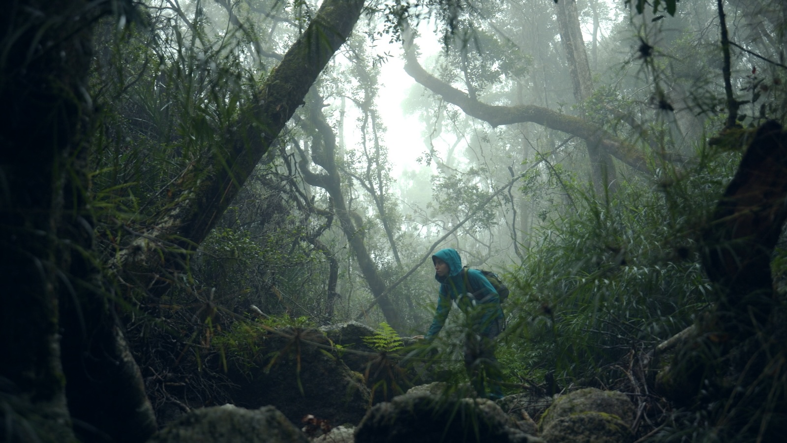 In a vast jungle, a young person in a green hooded sweater climbs across rocks.